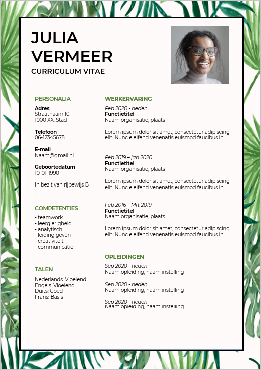 CV-template 'Julia'