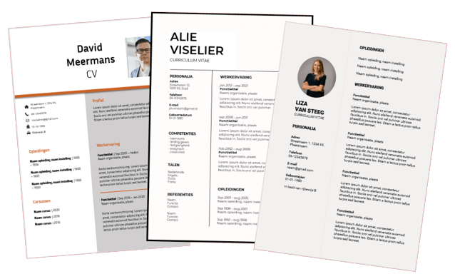 zakelijke cv's