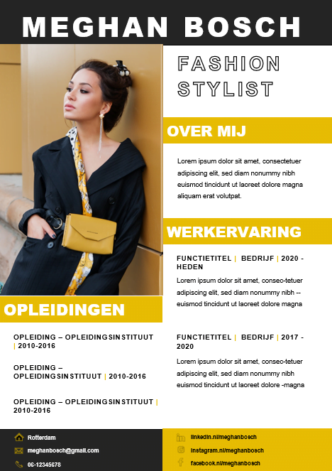 CV-template 'Meghan'